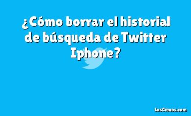 ¿Cómo borrar el historial de búsqueda de Twitter Iphone?