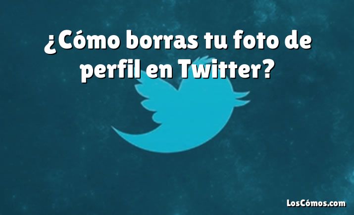 ¿Cómo borras tu foto de perfil en Twitter?