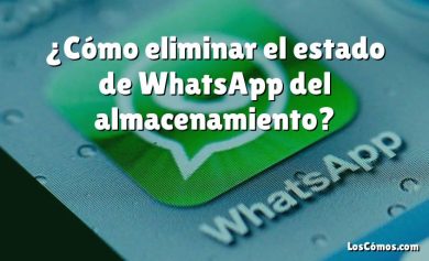 ¿Cómo eliminar el estado de WhatsApp del almacenamiento?