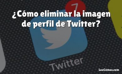 ¿Cómo eliminar la imagen de perfil de Twitter?