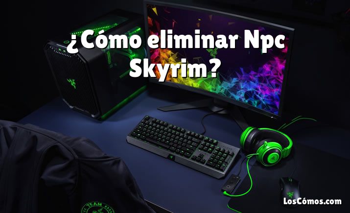 ¿Cómo eliminar Npc Skyrim?