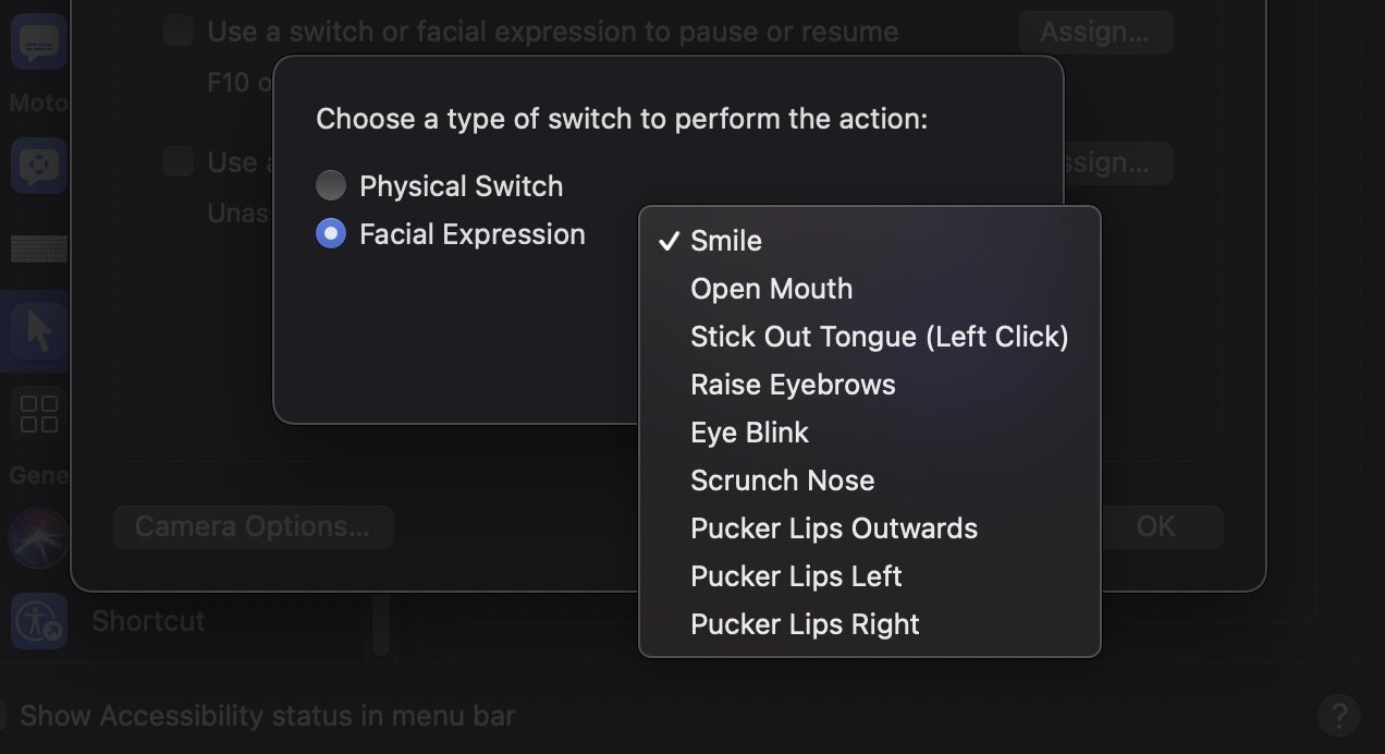 Hay una lista bastante extensa de expresiones faciales que Head Pointer puede detectar. 