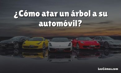 ¿Cómo atar un árbol a su automóvil?