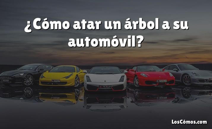 ¿Cómo atar un árbol a su automóvil?