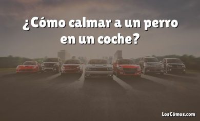 ¿Cómo calmar a un perro en un coche?