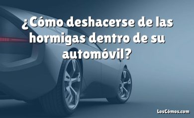 ¿Cómo deshacerse de las hormigas dentro de su automóvil?