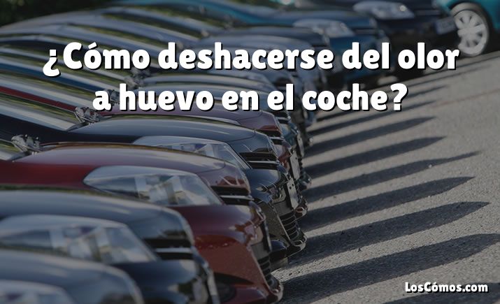 ¿Cómo deshacerse del olor a huevo en el coche?