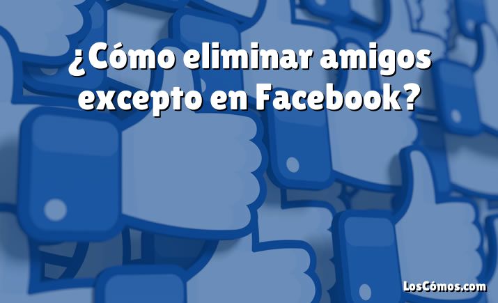 ¿Cómo eliminar amigos excepto en Facebook?