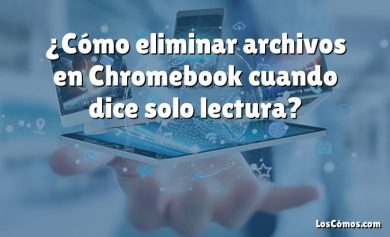 ¿Cómo eliminar archivos en Chromebook cuando dice solo lectura?