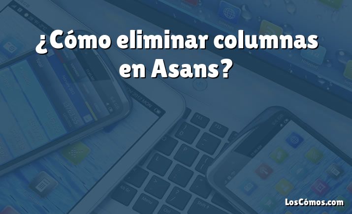 ¿Cómo eliminar columnas en Asans?