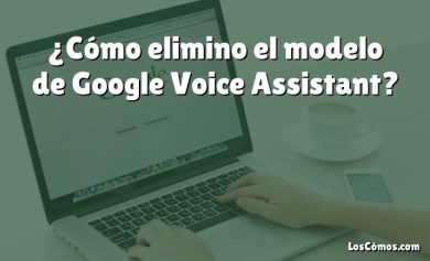 ¿Cómo elimino el modelo de Google Voice Assistant?