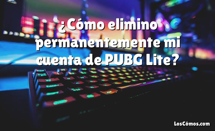 ¿Cómo elimino permanentemente mi cuenta de PUBG Lite?