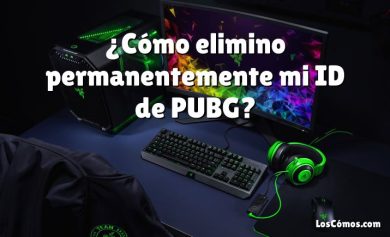 ¿Cómo elimino permanentemente mi ID de PUBG?