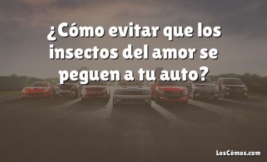 ¿Cómo evitar que los insectos del amor se peguen a tu auto?