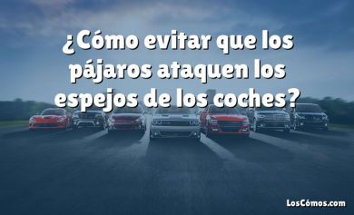 ¿Cómo evitar que los pájaros ataquen los espejos de los coches?