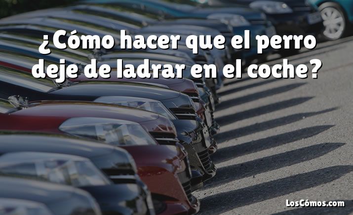 ¿Cómo hacer que el perro deje de ladrar en el coche?