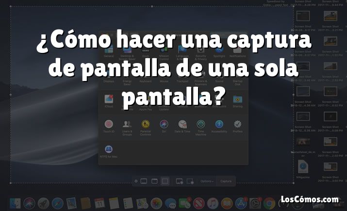 ¿Cómo hacer una captura de pantalla de una sola pantalla?