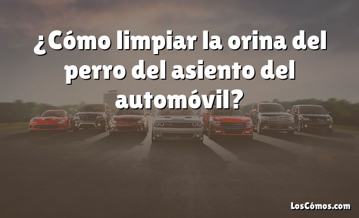 ¿Cómo limpiar la orina del perro del asiento del automóvil?