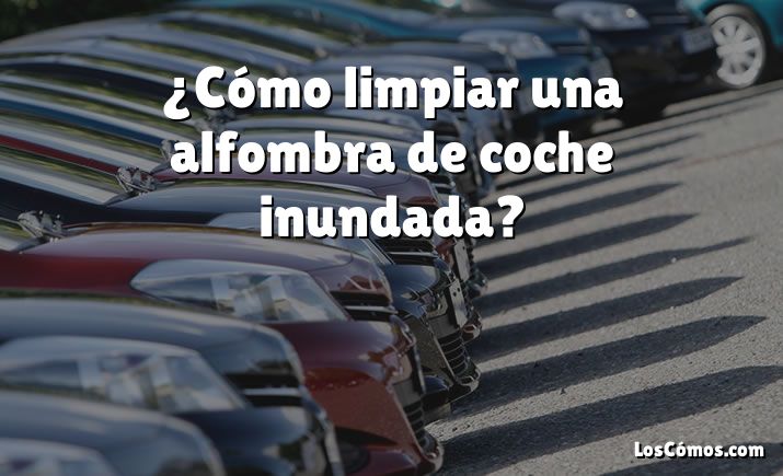 ¿Cómo limpiar una alfombra de coche inundada?