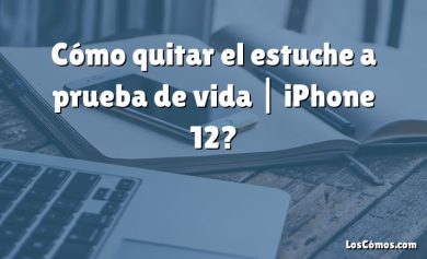 Cómo quitar el estuche a prueba de vida |  iPhone 12?