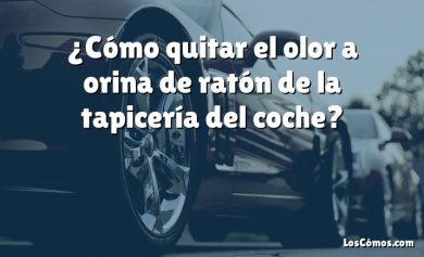 ¿Cómo quitar el olor a orina de ratón de la tapicería del coche?