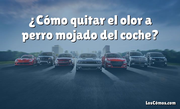 ¿Cómo quitar el olor a perro mojado del coche?