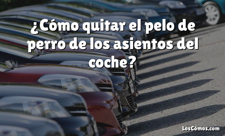 ¿Cómo quitar el pelo de perro de los asientos del coche?