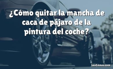 ¿Cómo quitar la mancha de caca de pájaro de la pintura del coche?