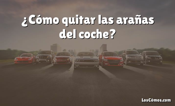 ¿Cómo quitar las arañas del coche?