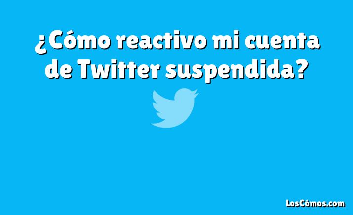 ¿Cómo reactivo mi cuenta de Twitter suspendida?