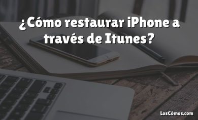 ¿Cómo restaurar iPhone a través de Itunes?