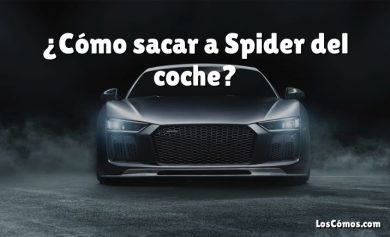 ¿Cómo sacar a Spider del coche?