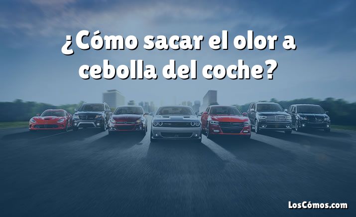 ¿Cómo sacar el olor a cebolla del coche?