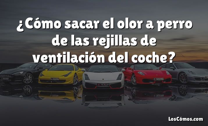 ¿Cómo sacar el olor a perro de las rejillas de ventilación del coche?