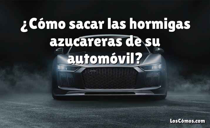 ¿Cómo sacar las hormigas azucareras de su automóvil?