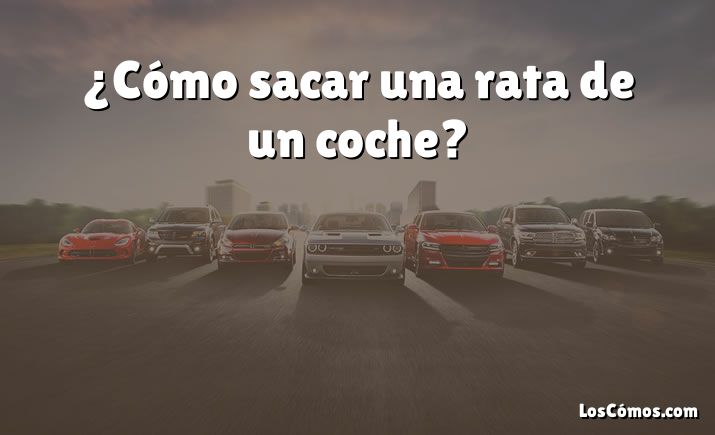 ¿Cómo sacar una rata de un coche?