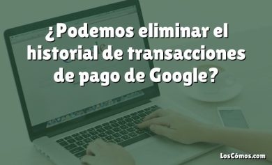 ¿Podemos eliminar el historial de transacciones de pago de Google?