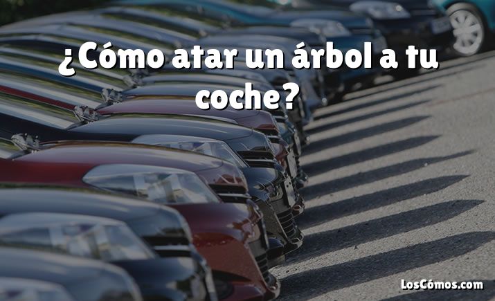 ¿Cómo atar un árbol a tu coche?