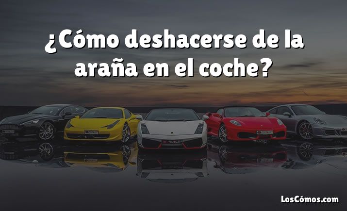 ¿Cómo deshacerse de la araña en el coche?