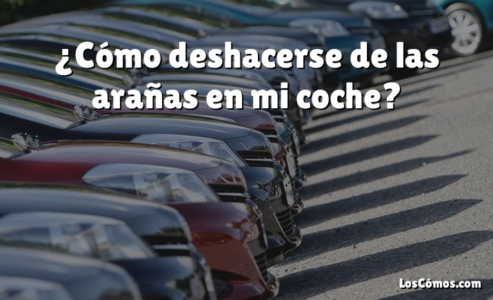 ¿Cómo deshacerse de las arañas en mi coche?