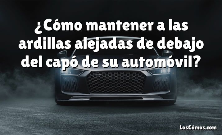 ¿Cómo mantener a las ardillas alejadas de debajo del capó de su automóvil?