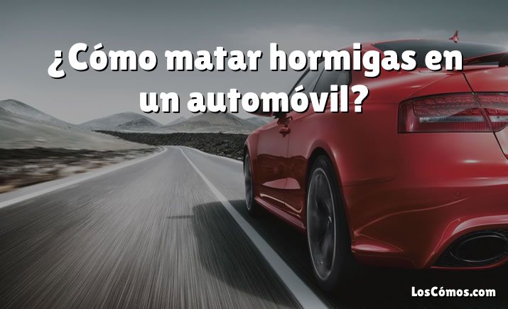 ¿Cómo matar hormigas en un automóvil?