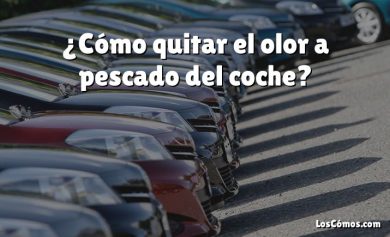 ¿Cómo quitar el olor a pescado del coche?