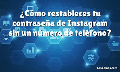 ¿Cómo restableces tu contraseña de Instagram sin un número de teléfono?