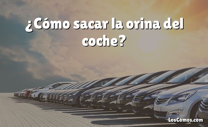 ¿Cómo sacar la orina del coche?