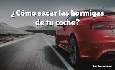 ¿Cómo sacar las hormigas de tu coche?