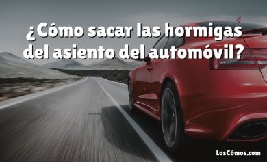 ¿Cómo sacar las hormigas del asiento del automóvil?