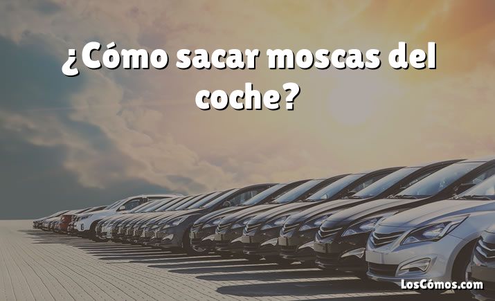 ¿Cómo sacar moscas del coche?