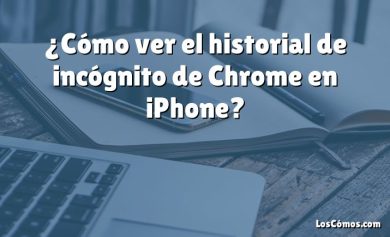 ¿Cómo ver el historial de incógnito de Chrome en iPhone?