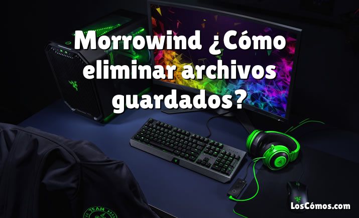 Morrowind ¿Cómo eliminar archivos guardados?